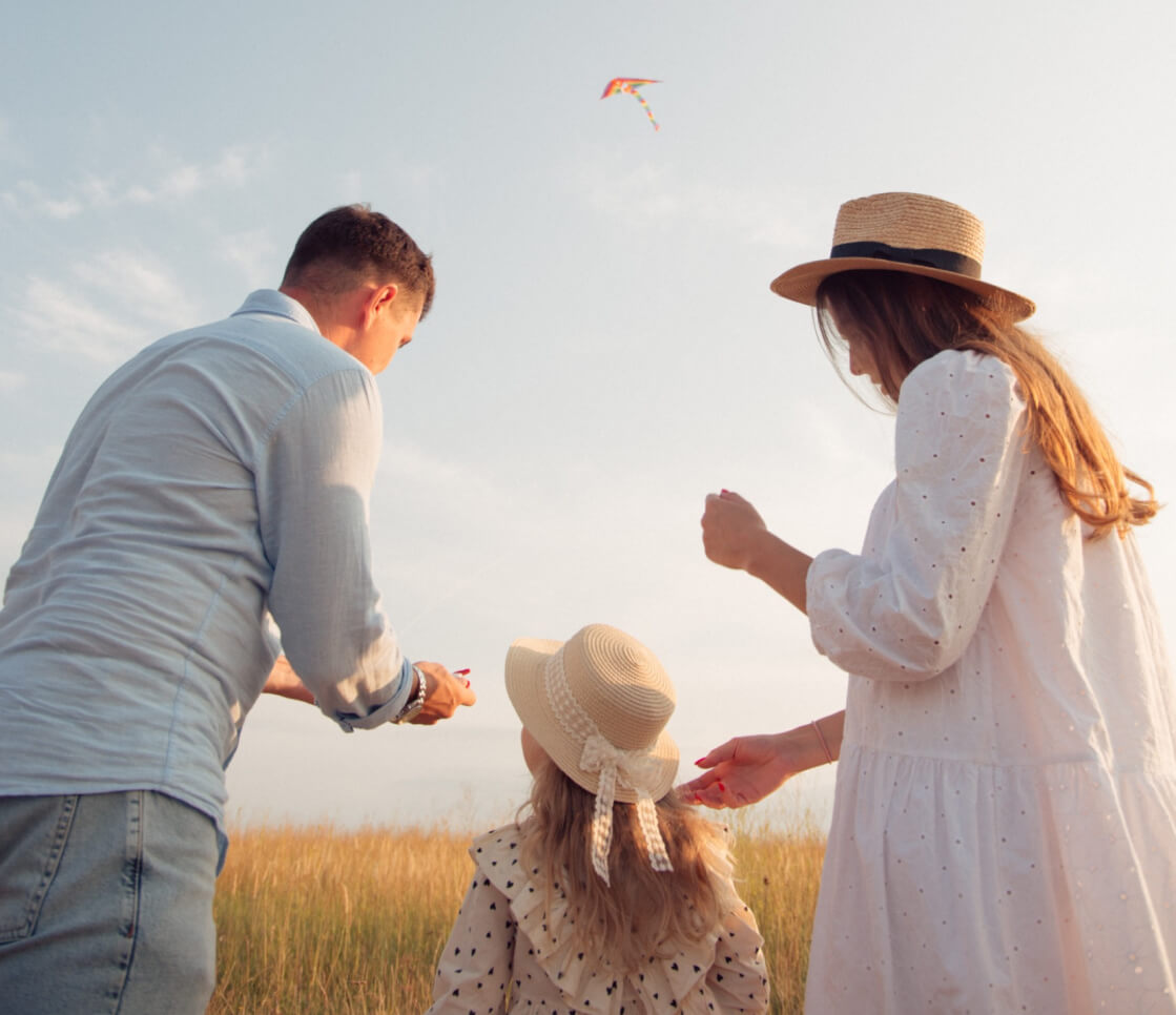 Vision - Solarmetrica